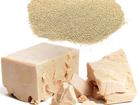 Lievito di Birra e Miele