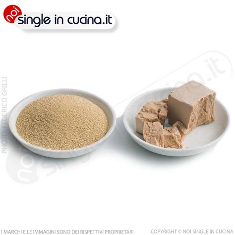 Lievito di birra pronto