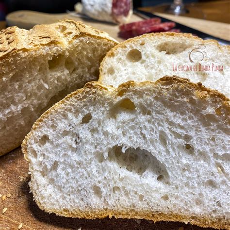 Lievito madre di riso senza glutine durante la lievitazione