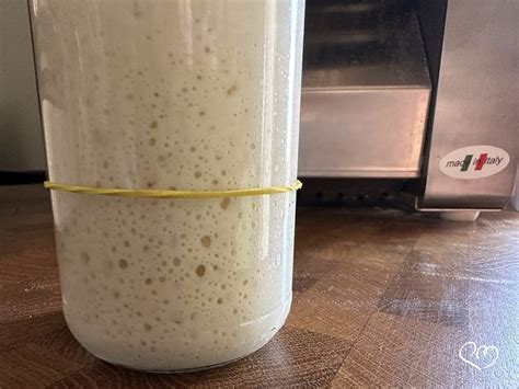 Lievito madre licoli