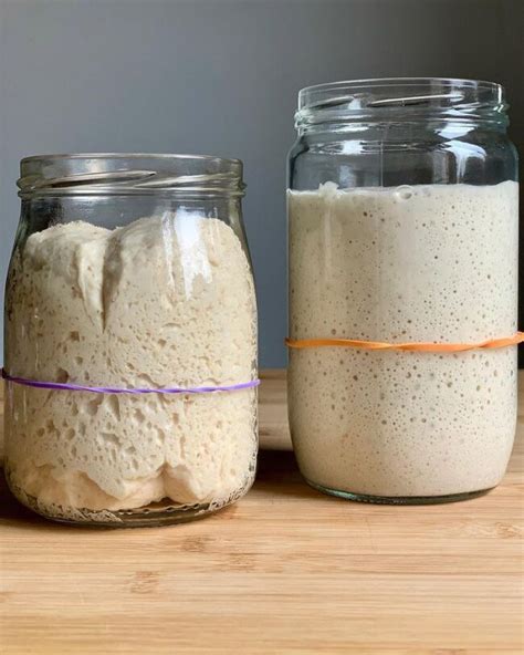 Lievito madre raddoppiato