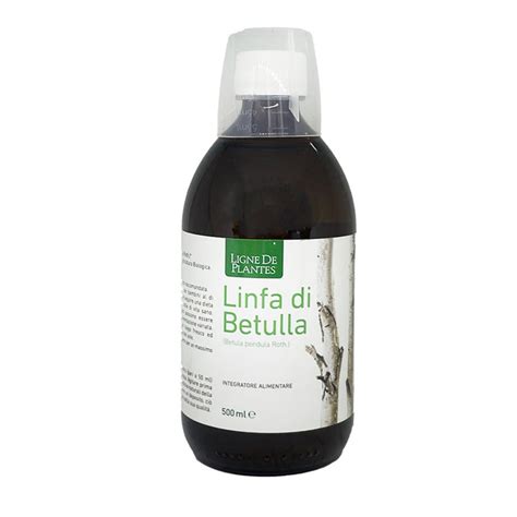 Linfa di betulla