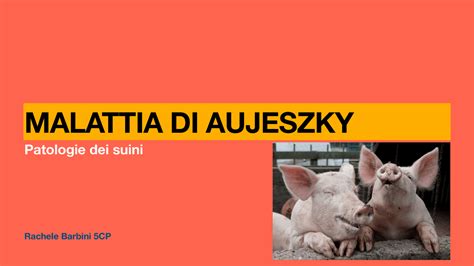 Malattia di Aujeszky nei cani