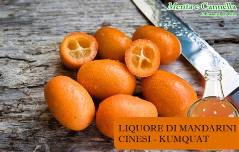 Mandarini Cinesi (Kumquat)