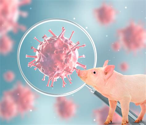 Mappa della malattia di Aujeszky in Europa