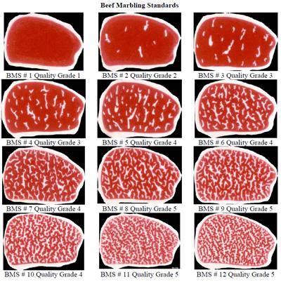 Marezzatura della carne