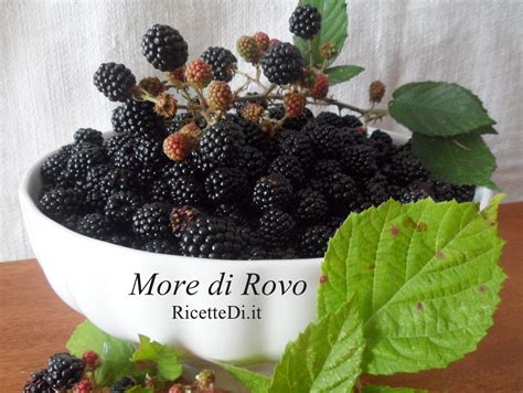 Marmellata di More di Rovo Chiaverini