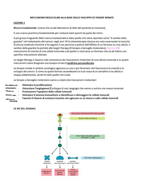 Meccanismi molecolari anti-obesità del cacao amaro