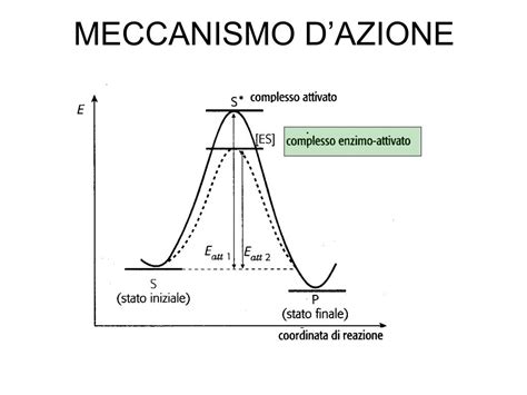 Meccanismo d'azione di Saxenda