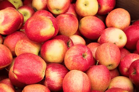 Mela Rosa dei Sibillini