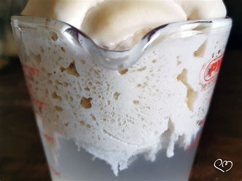 Metodo Longhi Lievito Madre