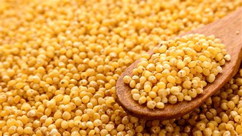 Miglio Proprietà Nutrizionali