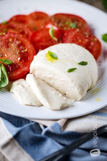Mozzarella vegana fatta in casa