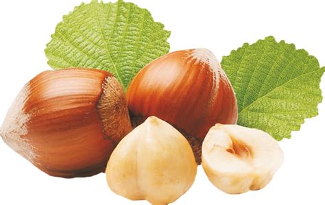 Nocciole Piemontesi IGP