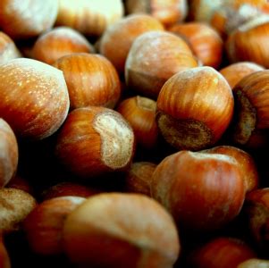 Nocciole Tonda Gentile delle Langhe