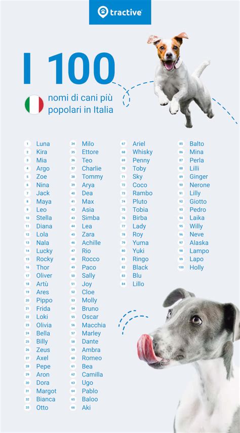 Nomi per cani
