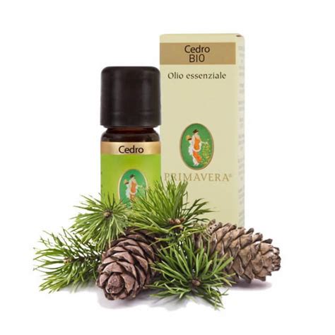 Olio essenziale di cedro