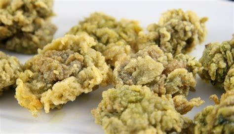 Orziadas: Anemoni di mare fritti, ricetta sarda