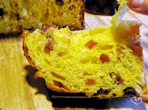 Panettone Morandin