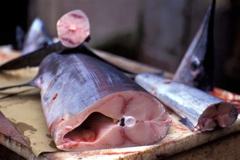 Pesce Spada Fresco