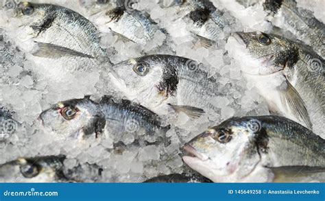 Pesce abbattuto o congelato