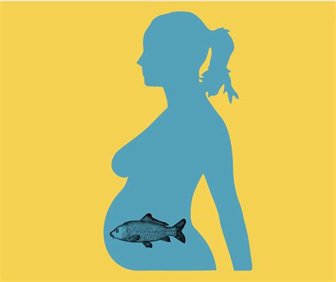 Pesci da evitare e da preferire in gravidanza e allattamento