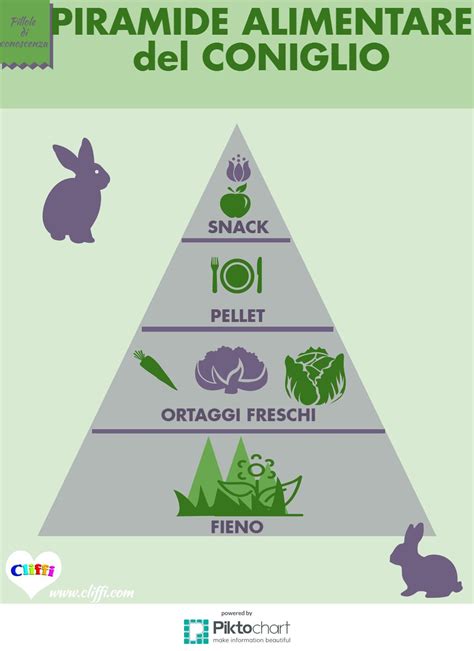 Piramide alimentare del coniglio