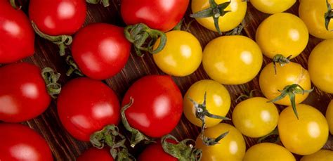 Pomodori ciliegini, datterini rossi e datterini gialli