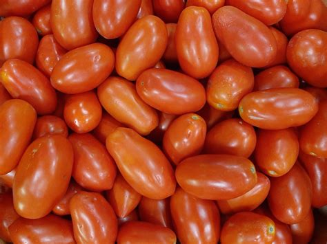 Pomodori da salsa