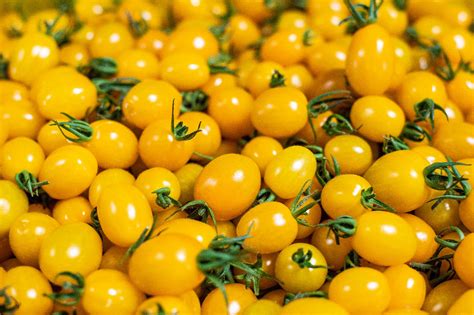 Pomodorini Gialli