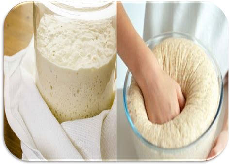 Preparazione del lievito madre