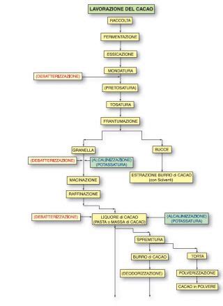 Processo di Produzione del Cacao