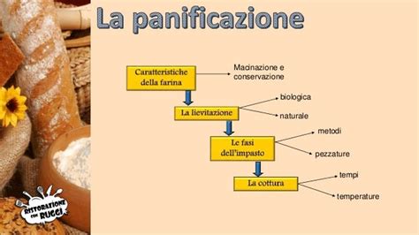 Processo di lievitazione