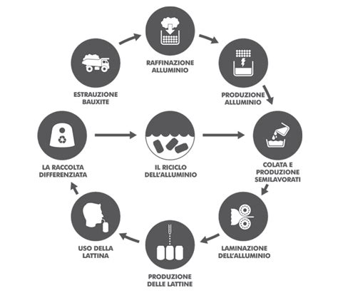 Processo di produzione dell'insalata in busta