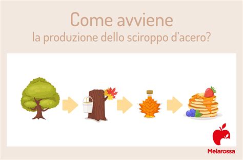 Produzione dello sciroppo d'acero