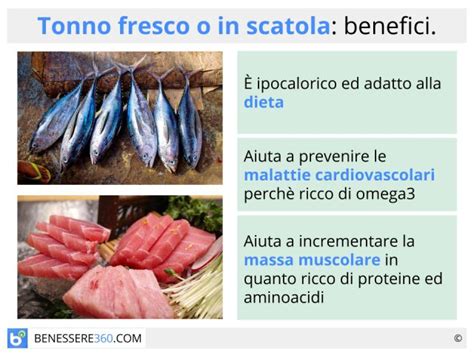 Proprietà Nutrizionali del Tonno