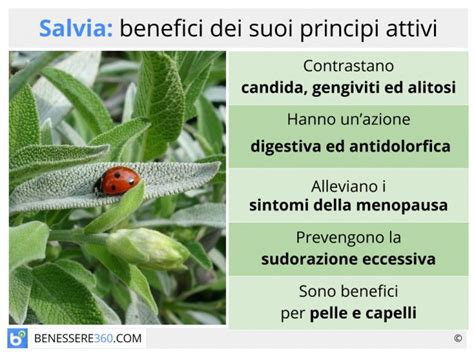 Proprietà della Salvia