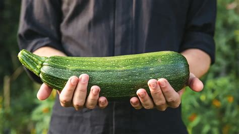 Proprietà della zucchina