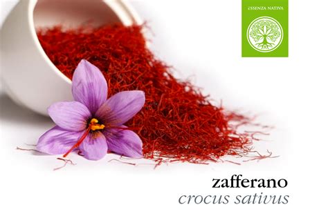 Proprietà dello Zafferano