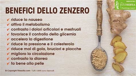 Proprietà dello zenzero