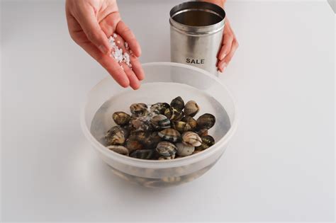 Pulizia Vongole