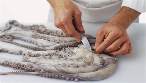Pulizia del polpo da cotto