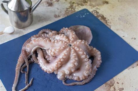 Pulizia del polpo da crudo
