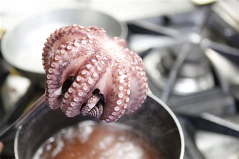 Pulizia del polpo fresco