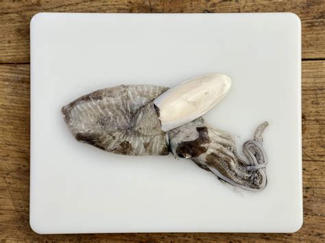 Pulizia delle Seppie