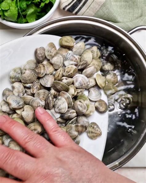 Pulizia delle vongole