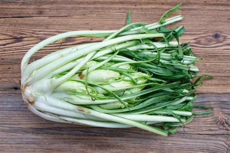 Puntarelle