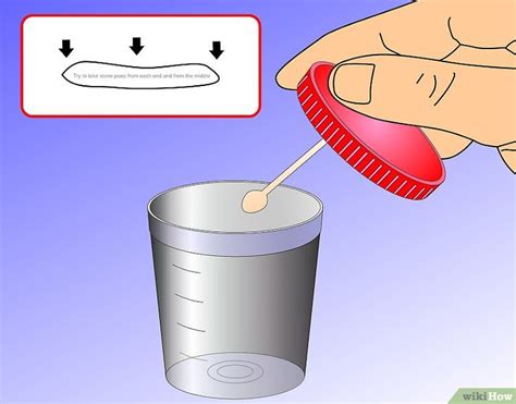 Raccolta campione feci