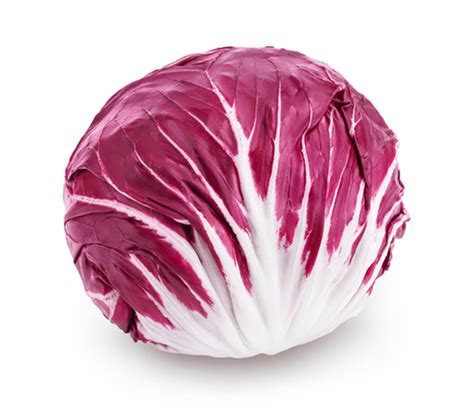 Radicchio di Chioggia