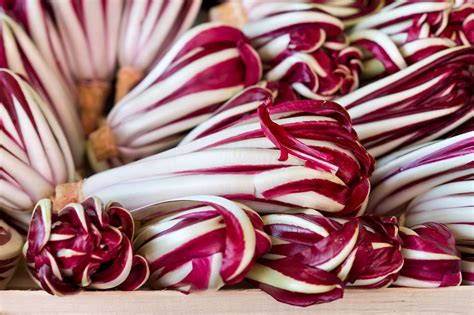 Radicchio di Treviso